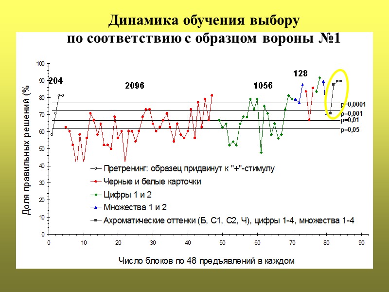 Динамика обучения выбору  по соответствию с образцом вороны №1  204 2096 1056